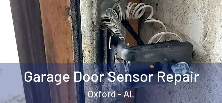 Garage Door Sensor Repair Oxford - AL